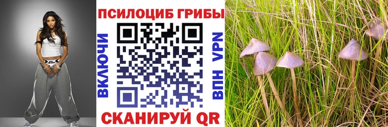 как найти закладки  Озёры  omg сайт  Галлюциногенные грибы MAGIC MUSHROOMS 